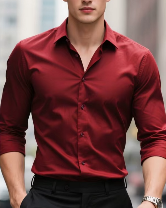 Verlak Wrinkle-Resistant Shirt